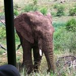 Profile Picture of Jake Birchall (@jake_birchall02) on Instagram