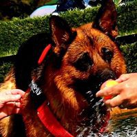 Profile Picture of John Routledge (@john-routledge-14) on Quora