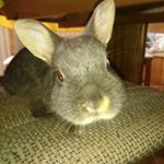 Michael Gensch - Instagram Profile Picture of Michael Gensch (@micha_255) on Instagram