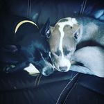 Profile Picture of Jeremy Harwell (@harwell_jeremy) on Instagram