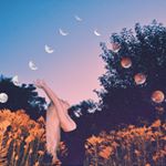 Profile Picture of Drew Sambol (@drewsambol) on Instagram