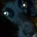 Profile Picture of Jacquelyn DenningKelley (@Jacquelyn-Denning-Kelley) on Facebook