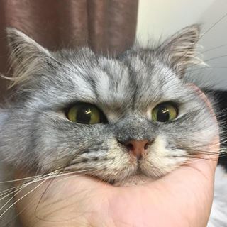 Profile Picture of Liao Raphill (@liao.raphill) on Facebook