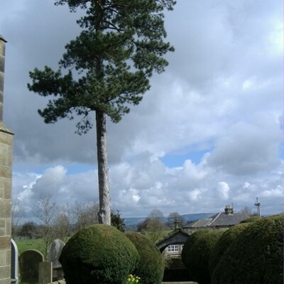 Profile Picture of Temple Moore Trail (@Temple_Moore) on Twitter