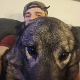 Profile Picture of Jake Weber (@jake.web) on Instagram
