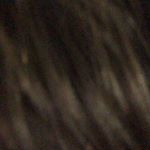 Profile Picture of Joseph (@bears_are_gram) on Instagram