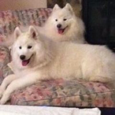 Profile Picture of Bob Birkey (@BBirkey) on Twitter