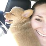 Profile Picture of Robin Swanson (@robin51566) on Instagram