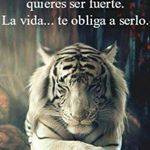 Profile Picture of Sherman Lara (@sherman.lara.1) on Instagram