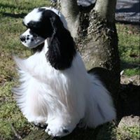Profile Picture of Deb Gunkle (@deb-gunkle) on Quora