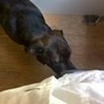 Profile Picture of Danny Mccubbin (@danny.mccubbin) on Instagram