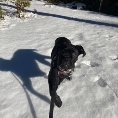 Profile Picture of Luke Jenkins (@luke_jenkins_56) on Twitter