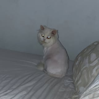 Profile Picture of iamhong (@nguyen.h) on Instagram