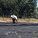 Profile Picture of Kenneth Barrett (@kenrbarrett) on Instagram