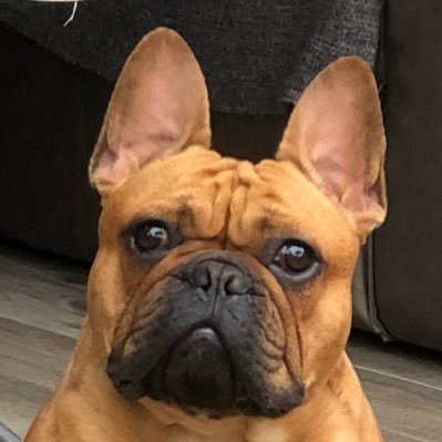 Profile Picture of Paul Lake (@gooner221169) on Twitter