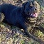 Profile Picture of Gary L Hammack (@gary.l.hammack) on Instagram