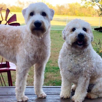 Profile Picture of Pamela Guider (@GuiderPamela) on Twitter