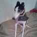 Profile Picture of Jerri Adair (@jerri.adair) on Facebook