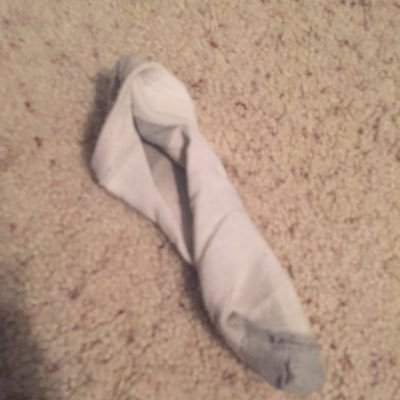 Profile Picture of Lea Holl (@leaholll) on Twitter