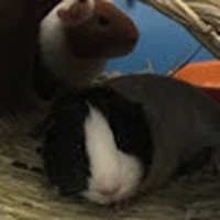 Profile Picture of Meredith Mcclure (@meredith-mcclure-6) on Quora