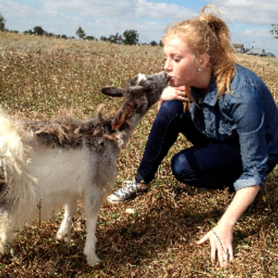 Profile Picture of Linn Helene Pedersen (@LinnHelene) on Twitter