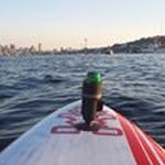 Profile Picture of Gabe Levin (@levingabe) on Instagram