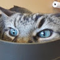 Profile Picture of Randy Kerr (@randy-kerr-33) on Quora