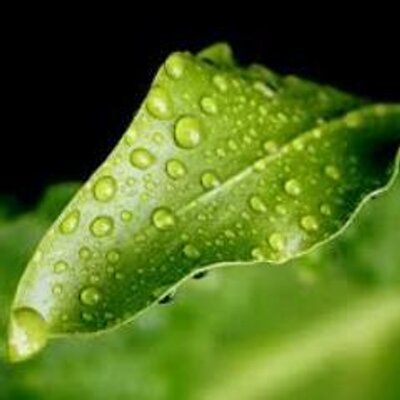Profile Picture of Craig Hedges (@CraigHedges3) on Twitter