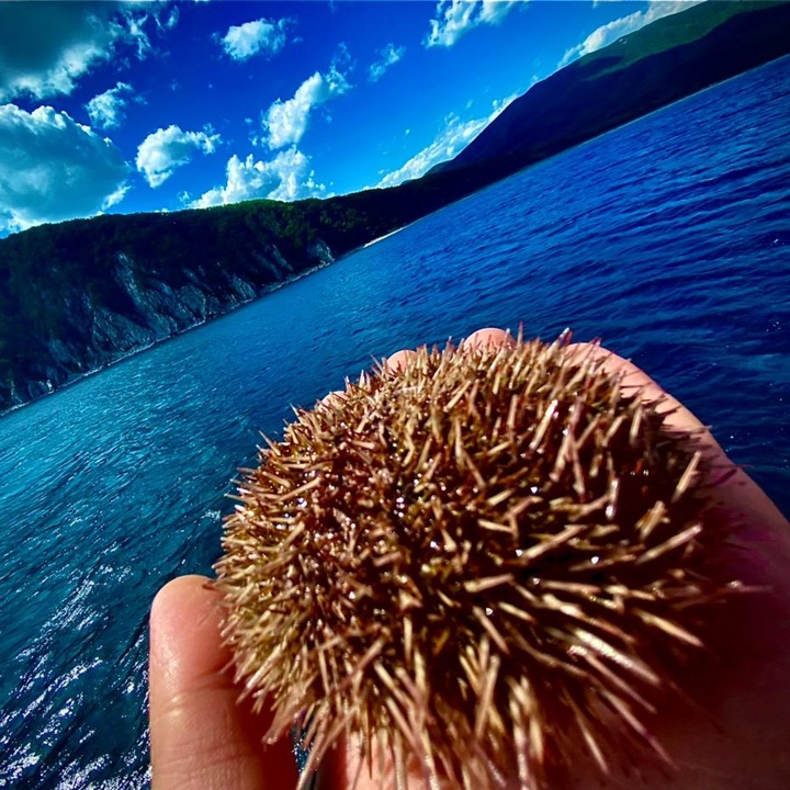 Profile Picture of Matthewrus (@matthewrus) on Tiktok