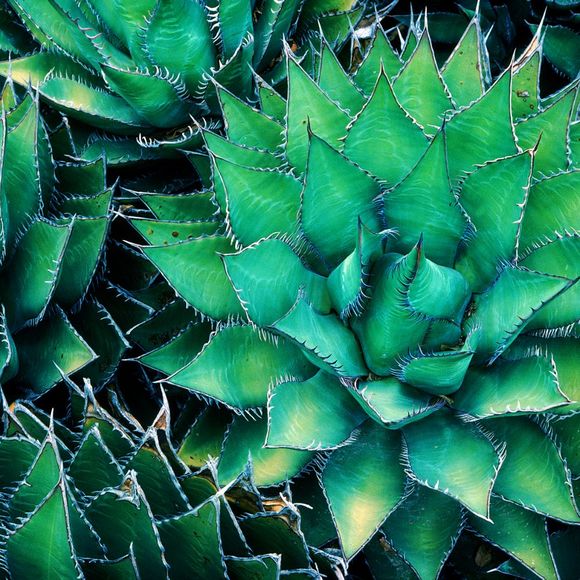 Profile Picture of Chloe Kim (@chloesakim) on Poshmark