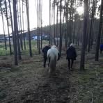 Profile Picture of Robin Hessler (@Robin-Hessler) on Facebook