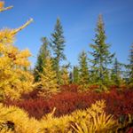 Profile Picture of Noel (@noelkollingdjw) on Instagram