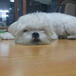 Profile Picture of 김병근 (@samuel_ruby_simon) on Instagram