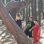 Profile Picture of Dawn Knost (@knostdawn) on Instagram