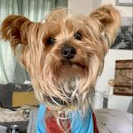Profile Picture of Debbie Chaney (@debbiechaney69) on Instagram