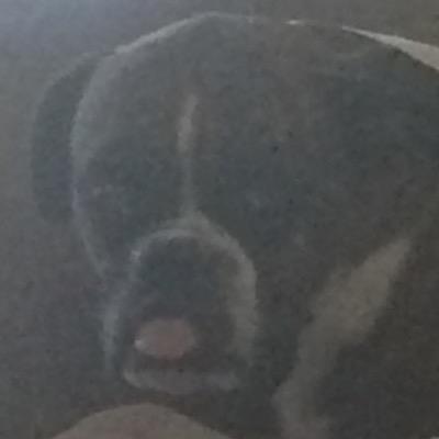 Profile Picture of Nick Gullo (@TwoBeContinuued) on Twitter