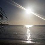 Profile Picture of Myrna Rojas (@myrnar1515) on Instagram