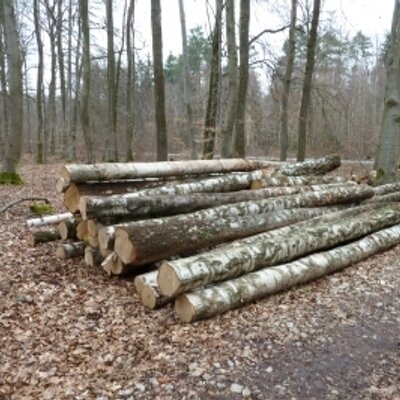 Profile Picture of Wim Buysse (@wimbuysse) on Twitter