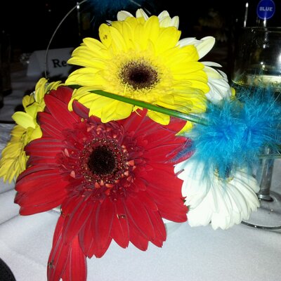 Profile Picture of Sue Hancox (@@LoopSue1) on Twitter
