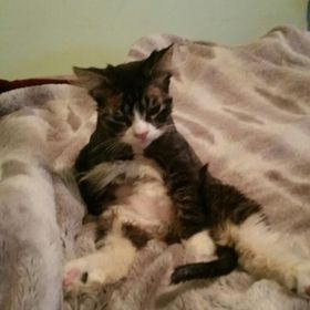 Profile Picture of Stacy Schulze (@stacyschulze12) on Pinterest