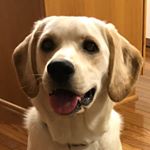 Profile Picture of Duncan Gilbert (@duncanfgilbert) on Instagram