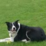 Profile Picture of Joyce Hannan (@joycehannan) on Instagram