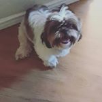 Profile Picture of Patrick hackler (@darkness73663) on Instagram