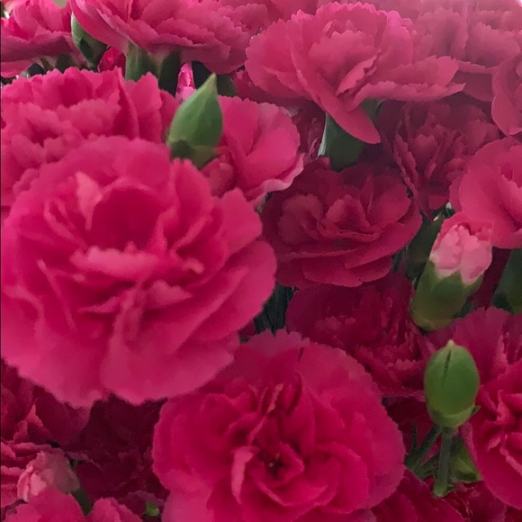 Profile Picture of Jennifer Cappelluti (@jencap40) on Poshmark