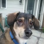 Profile Picture of Beth Kozlowski (@beth.kozlowski.7) on Facebook