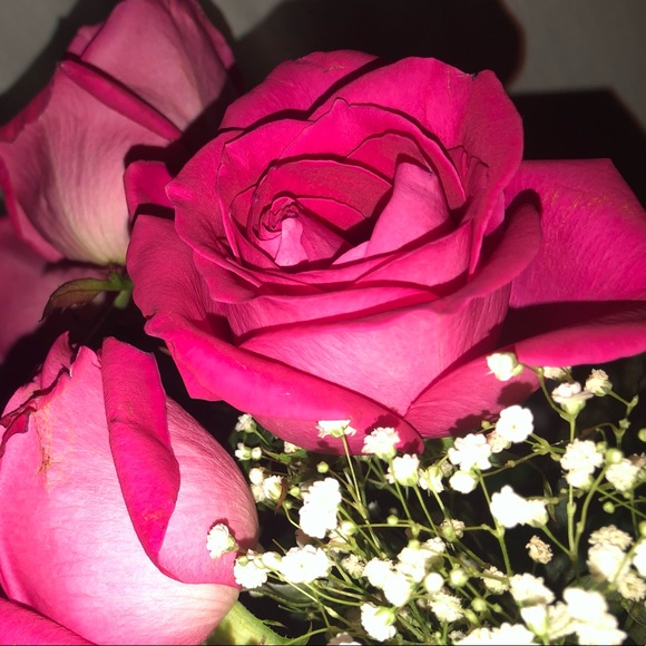 Profile Picture of Lucero Flores (@lffloress) on Poshmark