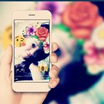 Profile Picture of cassandra faye sisneros (@cassandrafayesisbero) on Instagram