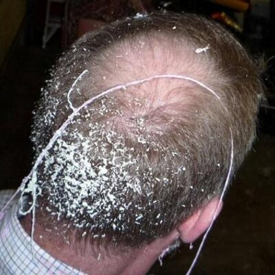 Profile Picture of Grant Hale (@granthale) on Twitter