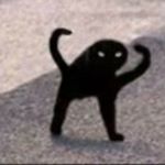 Profile Picture of Carmen (@bigbunnycrumbs) on Instagram