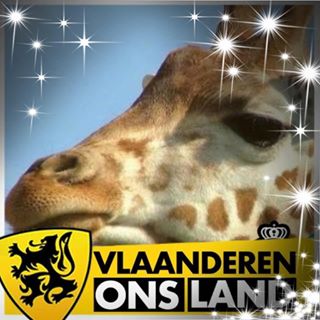 Profile Picture of Kenneth Coulier (@Kenneth-Coulier) on Facebook